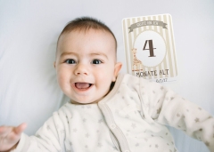 Milestone Sophie la Girafe Babycards Babys erstes Jahr